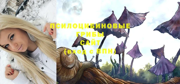 бошки Белоозёрский