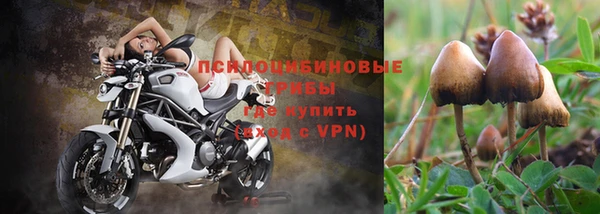 стафф Беломорск