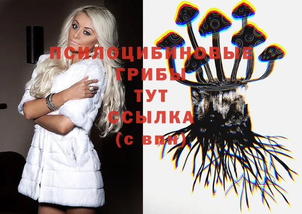 спайс Белокуриха