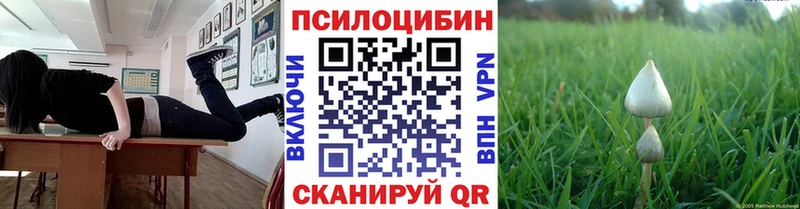 Псилоцибиновые грибы Magic Shrooms Верхотурье